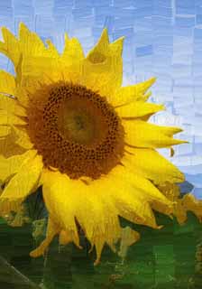 illustration,material,free,landscape,picture,painting,color pencil,crayon,drawing,A dignified sunflower, sunflower, , , Yellow