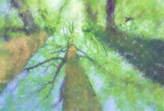 Illust, materieel, vrij, landschap, schilderstuk, schilderstuk, kleuren potlood, crayon, werkje,Drie bomen, Nakomeling vrijaf, Blauwe lucht, De dop, Aftakking