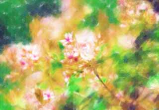 illustration,material,free,landscape,picture,painting,color pencil,crayon,drawing,A white blossom, white blossom, , , 