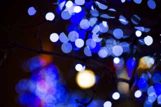 photo,material,free,landscape,picture,stock photo,Creative Commons,Christmas illuminations, Illuminations, Illumination, light, 