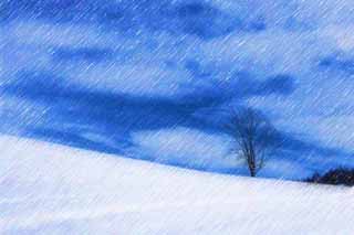 illust,tela,gratis,paisaje,fotografa,idea,pintura,Lpiz de color,dibujo,Un campo cubierto de nieve, Campo cubierto de nieve, Montaa, rbol, Cielo azul