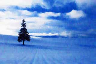 illust, material, livram, paisagem, quadro, pintura, lpis de cor, creiom, puxando,Um campo nevado de uma rvore de Natal, campo nevado, nuvem, rvore, cu azul