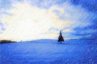 illust, material, livram, paisagem, quadro, pintura, lpis de cor, creiom, puxando,Um campo nevado de uma rvore de Natal, campo nevado, nuvem, rvore, cu azul