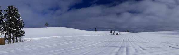 foto,tela,gratis,paisaje,fotografa,idea,Una casa pequea de un campo cubierto de nieve, Campo cubierto de nieve, Nube, Casa, Cielo azul