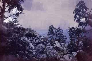 illust, materiale, libero panorama, ritratto dipinto, matita di colore disegna a pastello, disegnando,Kinkazan nevoso, montagna, Foglie colorate,  vuoto, albero