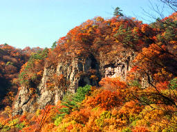 photo,material,free,landscape,picture,stock photo,Creative Commons,Autumn foliage on a precipice, autumn leaves, , , 