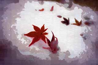illust, materiale, libero panorama, ritratto dipinto, matita di colore disegna a pastello, disegnando,Neve e foglie rosse,  nevoso, Rosso, acero, Acero