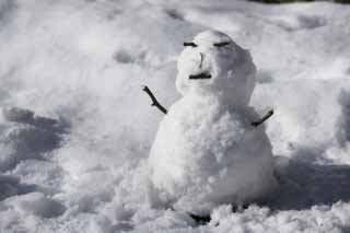 fotografia, material, livra, ajardine, imagine, proveja fotografia,Joy de um boneco de neve, boneco de neve, , Yuki Dharma boneca, campo nevado