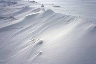 photo,material,free,landscape,picture,stock photo,Creative Commons,A snowy wind-wrought pattern on the sands, wind-wrought pattern on the sands, snowy field, Wind, 