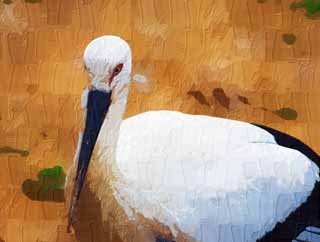 illustration,material,free,landscape,picture,painting,color pencil,crayon,drawing,A stork, stork, , bill, 