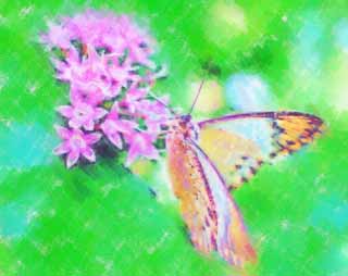 illust,tela,gratis,paisaje,fotografa,idea,pintura,Lpiz de color,dibujo,Una comida de una mariposa, Mariposa, , , Flor