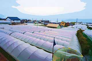 illustration,material,free,landscape,picture,painting,color pencil,crayon,drawing,A plastic greenhouse of Ishigaki strawberry, plastic greenhouse, Agriculture, farmhouse, field