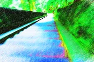 illust, , , , , ,  ,  , ., stairway Tosho-gu Shrine,  stairway, , , cedar