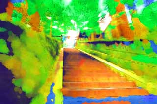 illust, materiale, libero panorama, ritratto dipinto, matita di colore disegna a pastello, disegnando,Una scalinata di pietra di Tosho-gu il Sacrario, prenda a sassate scalinata, Gradini, torii, cedro