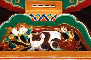 Illust, materieel, vrij, landschap, schilderstuk, schilderstuk, kleuren potlood, crayon, werkje,Een slapen kat van Tosho-gu Heiligdom, Slaap kat, Wereld heritage, Jingoro Hidari, Houtsnijwerk