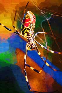 illustration,material,free,landscape,picture,painting,color pencil,crayon,drawing,Silk spider, Spider, Silk spider, , prostitute spider