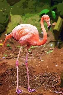 illustration,material,free,landscape,picture,painting,color pencil,crayon,drawing,A flamingo, , flamingo, Pink, 