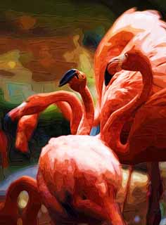 Illust, materieel, vrij, landschap, schilderstuk, schilderstuk, kleuren potlood, crayon, werkje,Een woud van Een flamingo's, , Flamingo, Rose, 