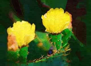 illust, matire, libre, paysage, image, le tableau, crayon de la couleur, colorie, en tirant,Une fleur jaune d'un cactus, , cactus, , 