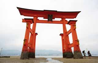 photo,material,free,landscape,picture,stock photo,Creative Commons,Otorii of Itsukushima-jinja Shrine, World's cultural heritage, Otorii, Shinto shrine, I am cinnabar red