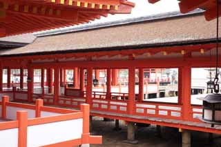 fotografia, materiale, libero il panorama, dipinga, fotografia di scorta,Un corridoio di Sacrario di Itsukushima-jinja, L'eredit culturale di Mondo, Otorii, Sacrario scintoista, Io sono cinabro rosso