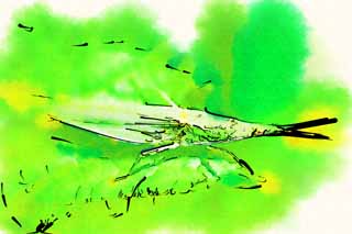 illustration,material,free,landscape,picture,painting,color pencil,crayon,drawing,A piggyback grasshopper, piggyback grasshopper, grasshopper, Green, An insect
