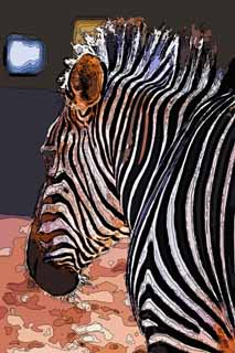 Illust, materieel, vrij, landschap, schilderstuk, schilderstuk, kleuren potlood, crayon, werkje,Een zebra, Een eiland paard, Zebra, , De manen
