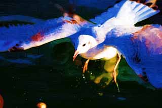 illustration,material,free,landscape,picture,painting,color pencil,crayon,drawing,Taking off from water, wing, , gull, feather