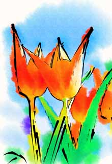 illust, materiale, libero panorama, ritratto dipinto, matita di colore disegna a pastello, disegnando,Un cielo blu ed un buon amico, , tulipano, petalo, In primavera