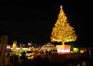 fotografia, materiale, libero il panorama, dipinga, fotografia di scorta,Un albero di Natale di Hakodate, Albero di Natale, X'mas, notte sacra, porto