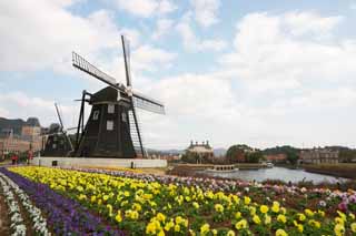 photo,material,free,landscape,picture,stock photo,Creative Commons,A flower garden and a windmill, cloud, canal, The Netherlands, windmill
