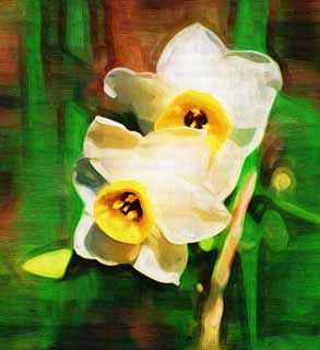 illustration,material,free,landscape,picture,painting,color pencil,crayon,drawing,Narcissus, I don't guess it, daffodil, Narcissus, Yellow
