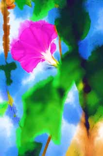 illustration,material,free,landscape,picture,painting,color pencil,crayon,drawing,The morning glory which blooms to the blue sky, morning glory, , , vine