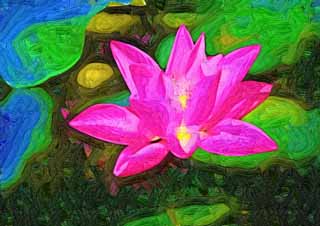 illustration,material,free,landscape,picture,painting,color pencil,crayon,drawing,A lotus of Zhuozhengyuan, petal, lotus, , garden