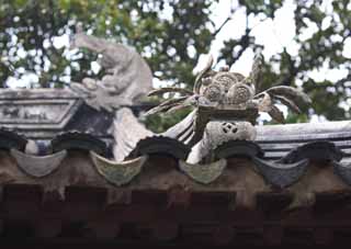 photo, la matire, libre, amnage, dcrivez, photo de la rserve,Un dcor de toit d'Enkodo de Zhuozhengyuan, carreau, toit, patrimoine de l'humanit, jardin