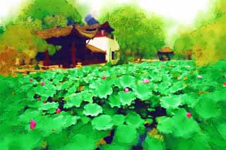 illustration,material,free,landscape,picture,painting,color pencil,crayon,drawing,Hasuike of Zhuozhengyuan, pond, lotus, , garden