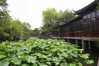 Foto, materiell, befreit, Landschaft, Bild, hat Foto auf Lager,36 mandarinisches Entengebude von Zhuozhengyuan, Architektur, 36 mandarinisches Entengebude, Kreis, Garten