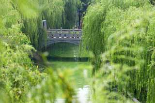 Foto, materiell, befreit, Landschaft, Bild, hat Foto auf Lager,Ein Kanal von Suzhou, Weide, Kanal, Ufer, Brcke