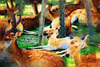 illust, materiale, libero panorama, ritratto dipinto, matita di colore disegna a pastello, disegnando,Un cervo di Nara, , cervo, , Bambi