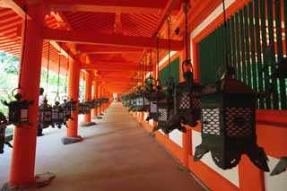 Foto, materieel, vrij, landschap, schilderstuk, bevoorraden foto,Kasuga Taisha Shrine corridor, Shinto, Shinto heiligdom, Ik word in rood geschilderd, Tuinier lantaarn