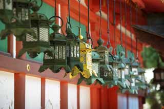 Foto, materieel, vrij, landschap, schilderstuk, bevoorraden foto,De tuin lantaarn van Kasuga Taisha Shrine, Shinto, Shinto heiligdom, Ik word in rood geschilderd, Tuinier lantaarn