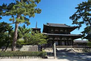 foto,tela,gratis,paisaje,fotografa,idea,Horyu - ji templo, Buddhism, Puerta construir entre la puerta principal y la casa principal de la arquitectura diseada por palacio en el punto de Fujiwara, Cinco pagoda de Storeyed, Idea Buddhist