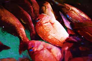 illust, materiale, libero panorama, ritratto dipinto, matita di colore disegna a pastello, disegnando,Un pesce fa compere, Thailandia, comune marittimo, , i pesci fanno compere