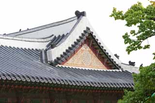 photo, la matire, libre, amnage, dcrivez, photo de la rserve,Un toit de Kyng-bokkung, btiment en bois, patrimoine de l'humanit, Confucianisme, Beaucoup de parcelles appellent