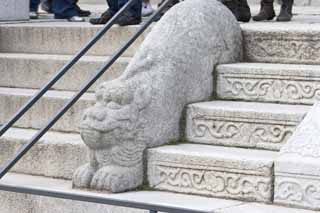 fotografia, material, livra, ajardine, imagine, proveja fotografia,Uma esttua de pedra de Kunjongjon, apedreje esttua, Um animal, Escadarias, escultura