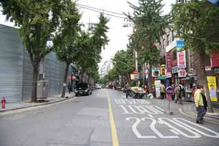 fotografia, materiale, libero il panorama, dipinga, fotografia di scorta,Un modo di Seoul, Tenga al diritto della strada, ristorante, albero della strada, ginkgo
