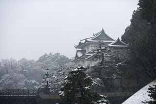 photo,material,free,landscape,picture,stock photo,Creative Commons,Snow Fushimi derrick, Castle, Palace, Killer whale, Edo Castle