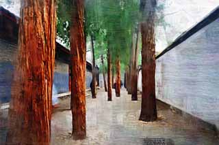 illustration,material,free,landscape,picture,painting,color pencil,crayon,drawing,Summer Palace street, Japanese cedar, Outer wall, Komichi, Cobblestone