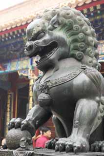 photo,material,free,landscape,picture,stock photo,Creative Commons,Summer Palace cloud of exhaust builders foo, Decoration, Bronze, Bronze statue, Lion