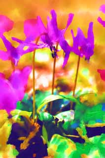 illust,tela,gratis,paisaje,fotografa,idea,pintura,Lpiz de color,dibujo,Japons del diente de perro flores violeta, Erythronium, , Ken Kyoko, 